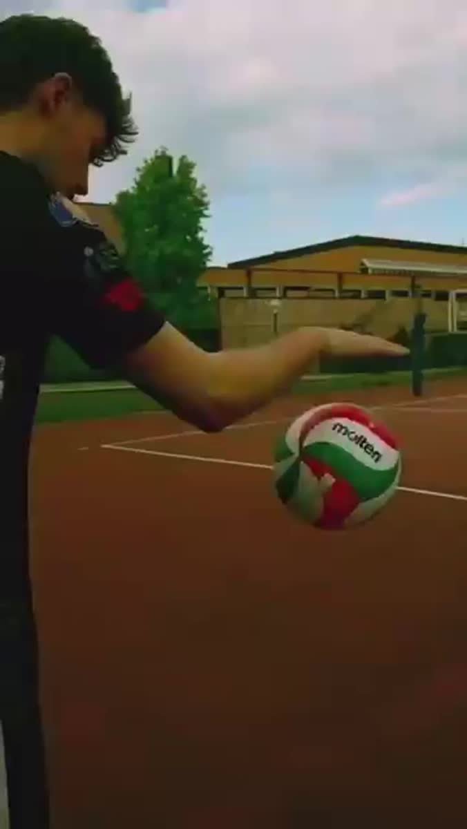 Conifer / Sport